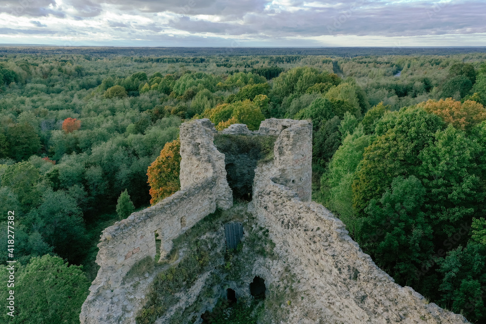 Aerial view of the Defensive Fortress in the south-west of the Leningrad Region, on the edge of the Izhora Upland, in the village of Koporye. A platform for a high rocky promontory.
