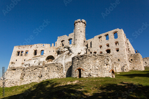 The ruins of medieval castle on the rock in Ogrodzieniec  Poland