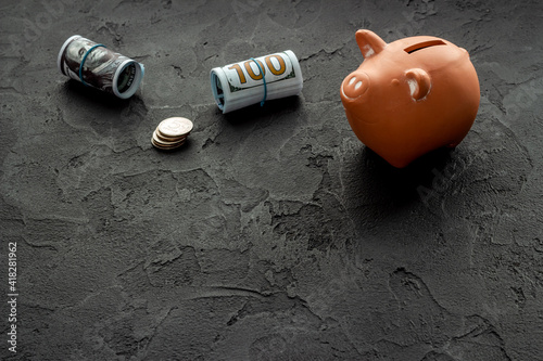 Investment concept. Piggy bank with money, close up