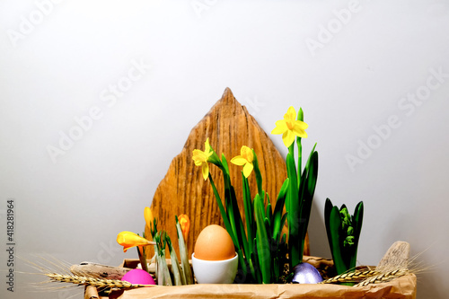 Easter eggs in a paper bag among the daffodils. Side view on a gray background. There is a place for an inscription. Poster or congratulation.
