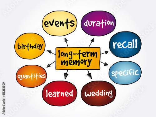 Long-term Memory mind map, concept for presentations and reports