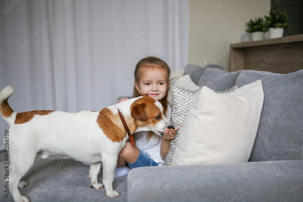 Happy preschooler girl hugs her dog Jack Russell Terrier breed at home on the couch. Quarantine. Best friends are resting and having fun at home in the room. Animal games