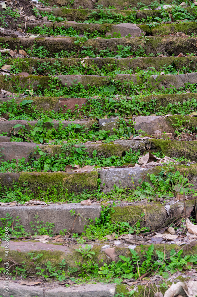 Spring scenery of Yellow Crane Tower Park in Wuhan, Hubei Spring scenery of Yellow Crane Tower Park in Wuhan, Hubei