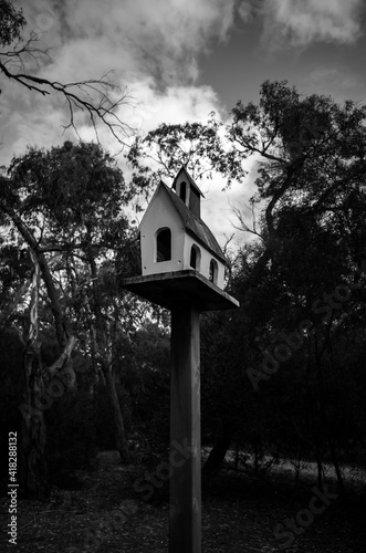 bird house in the forest