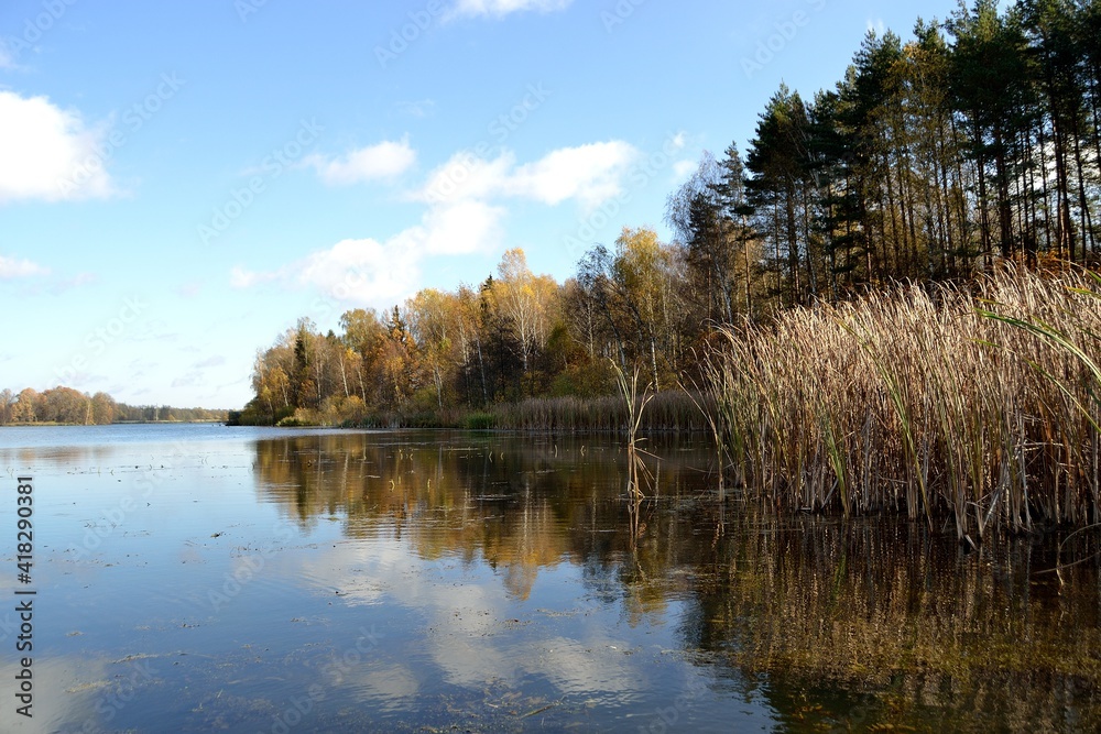 Summer fishing on the Desna river