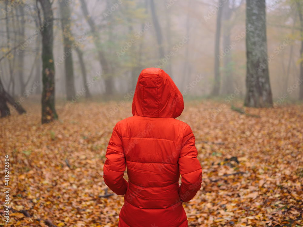 Woman in red jacket in autumn Yellow leaves walk the fog Woman in red jacket in autumn Yellow leaves walk the fog