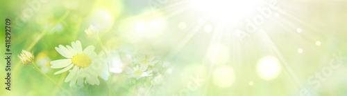 Abstract spring and summer ...