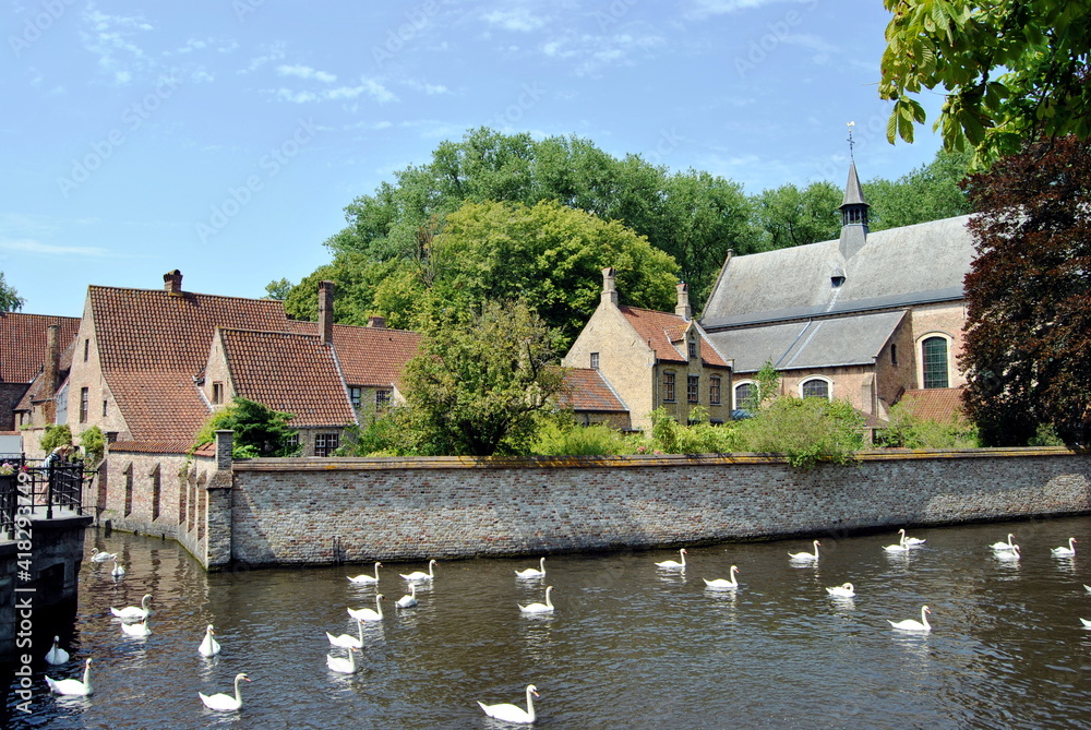 Naklejka premium Schwäne in Brügge