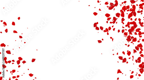 Wallpaper Mural The Rose confetti on a white background. The Red flowers blossom. The Romantic creative composition. The Love concept. Torontodigital.ca
