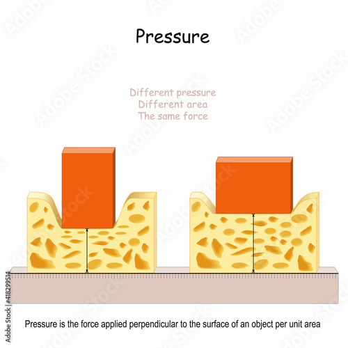 Pressure in physics. sponge and brick