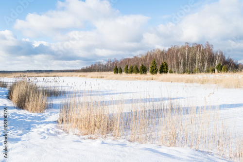 Wallpaper Mural Frozen Wetlands and Lake on a Cold Winter Day in Latvia Torontodigital.ca