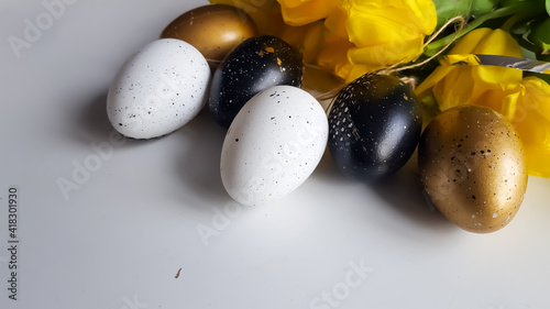 Copy space. Easter composition of yellow tulips with and black and goid eggs.  photo