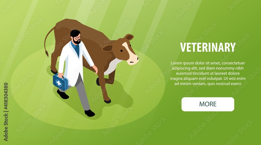Veterinary Isometric Banner Veterinary Isometric Banner