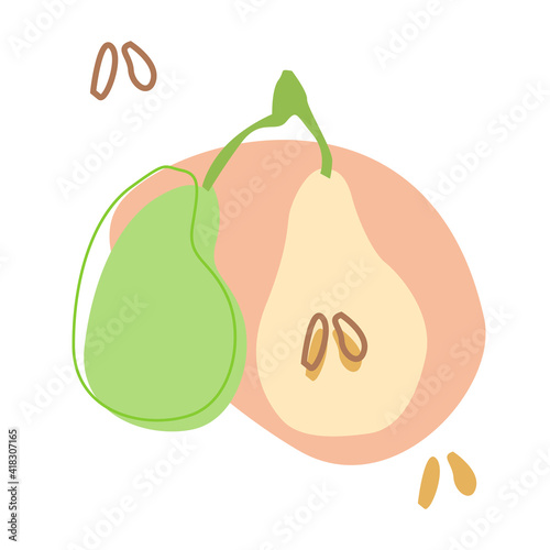 Two pears on a twig flat vector EPS