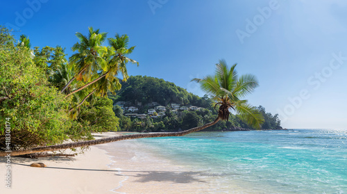 Coco palms on Sunny tropical paradise beach Anse Takamaka beach on Seychelles. 