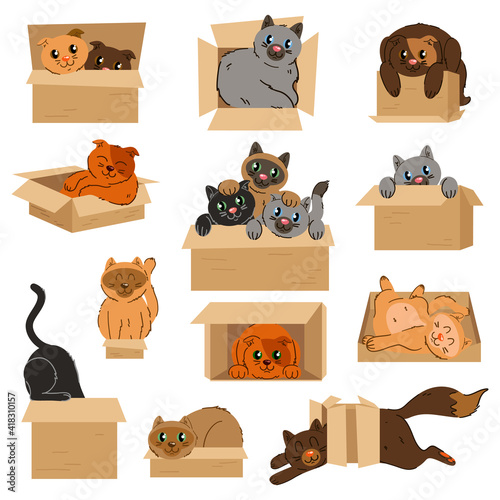 Cats in cardboard transportation boxes cartoon vector illustration. Set of badges with cats sitting in cardboard boxes.