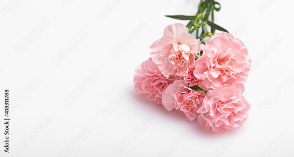 Close up photo of a pink carnation bouquet isolated over white background Close up photo of a pink carnation bouquet isolated over white background