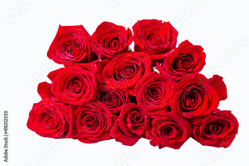 Bouquet of red  burgundy  roses on a white background. Water drops. Close-up.