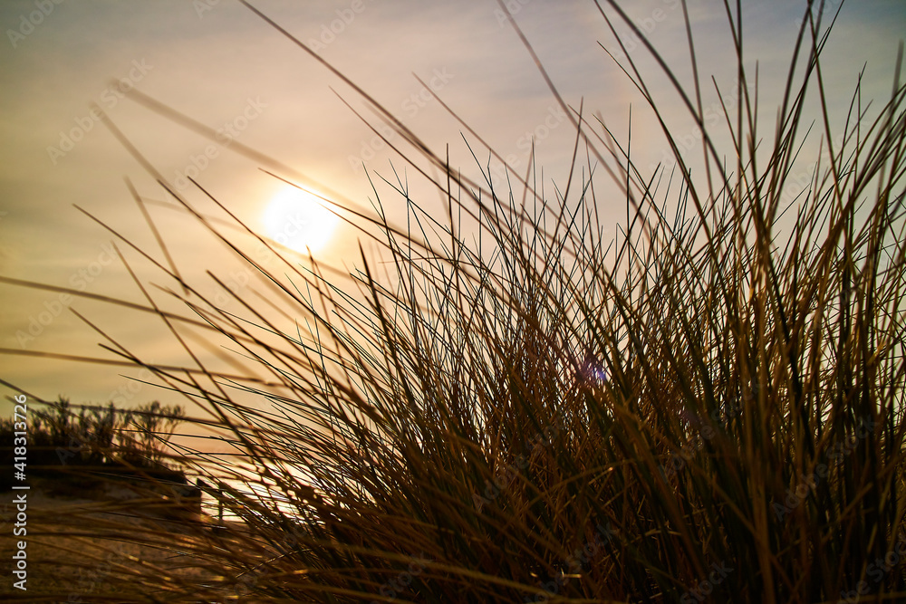 sand dunes on a beach with the sunset sand dunes on a beach with the sunset