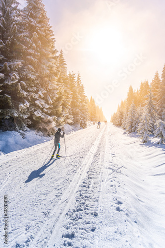 Cross-country skiing in nature photo