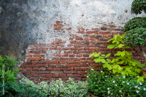 Old weathered brick wall texture and ornamental plants