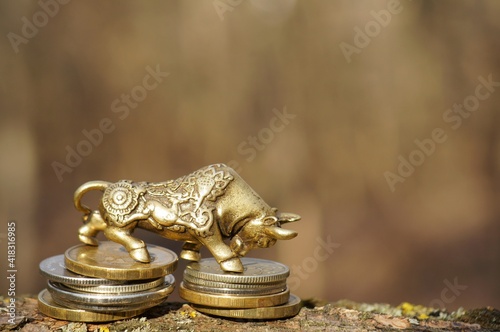 Metal bull with coins close-up.