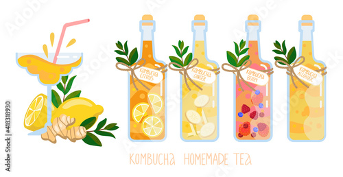 Kombucha homemade fermented raw tea in glass bottles set. Cartoon flat illustration vector illustration