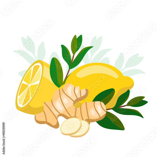 Lemon with ginger and mint. Natural medicine, antiflu ingredients. Natural remedies. Cartoon flat vector illustration