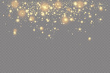 Light effect. Background of sparkling particles. Glittering elements on a transparent background.