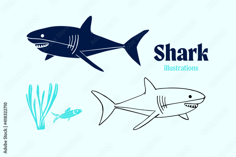 Shark Vector illustrations Shark Vector illustrations