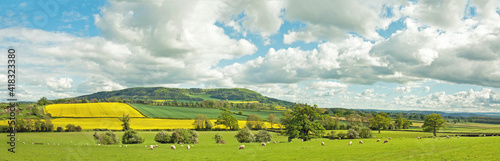 Fototapeta Naklejka Na Ścianę i Meble -  Summertime landscape in the English countryside