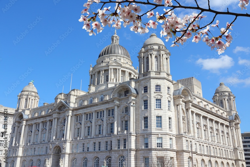 Liverpool city UK. Pier Head district, part of UNESCO World Heritage Site. Port of Liverpool Building. Cherry blossoms spring view. UK spring time.