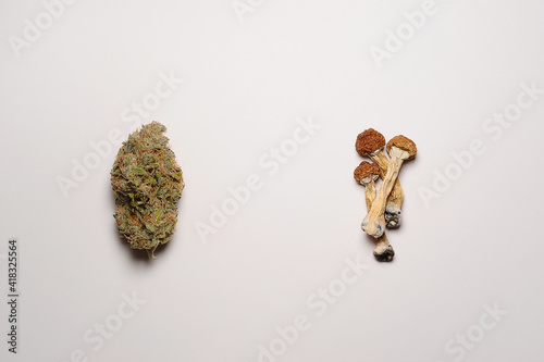 Microdosing concept. Dry psilocybin mushrooms and Marijuana buds on white background. Psychedelic experience. Hemp recreation, medical usage, legalization. © Cannabis_Pic