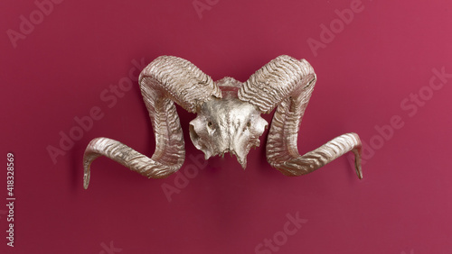 golden horns animal isolated on red background