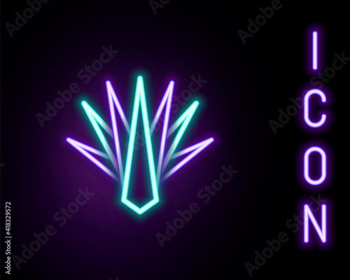 Glowing neon line Agave icon isolated on black background. Traditional Mexican plant. Colorful outline concept. Vector.