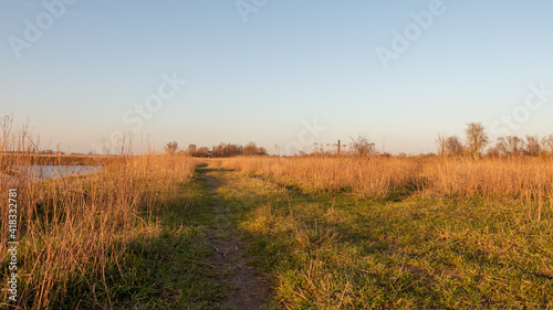 Path in Dutch polder scene