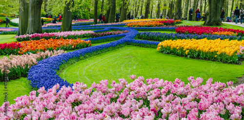 Картината върху платно Blooming flowers in Spring Formal Garden.