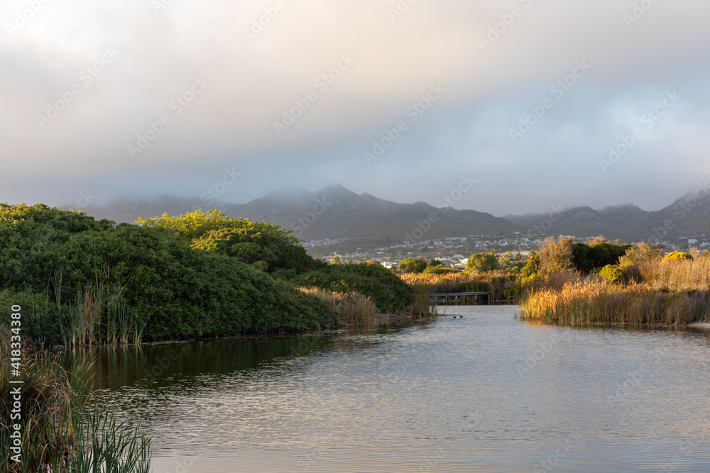 Fototapeta premium landscape with river