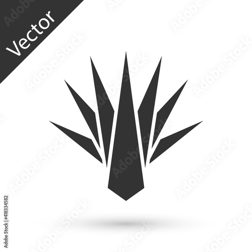 Grey Agave icon isolated on white background. Traditional Mexican plant. Vector.
