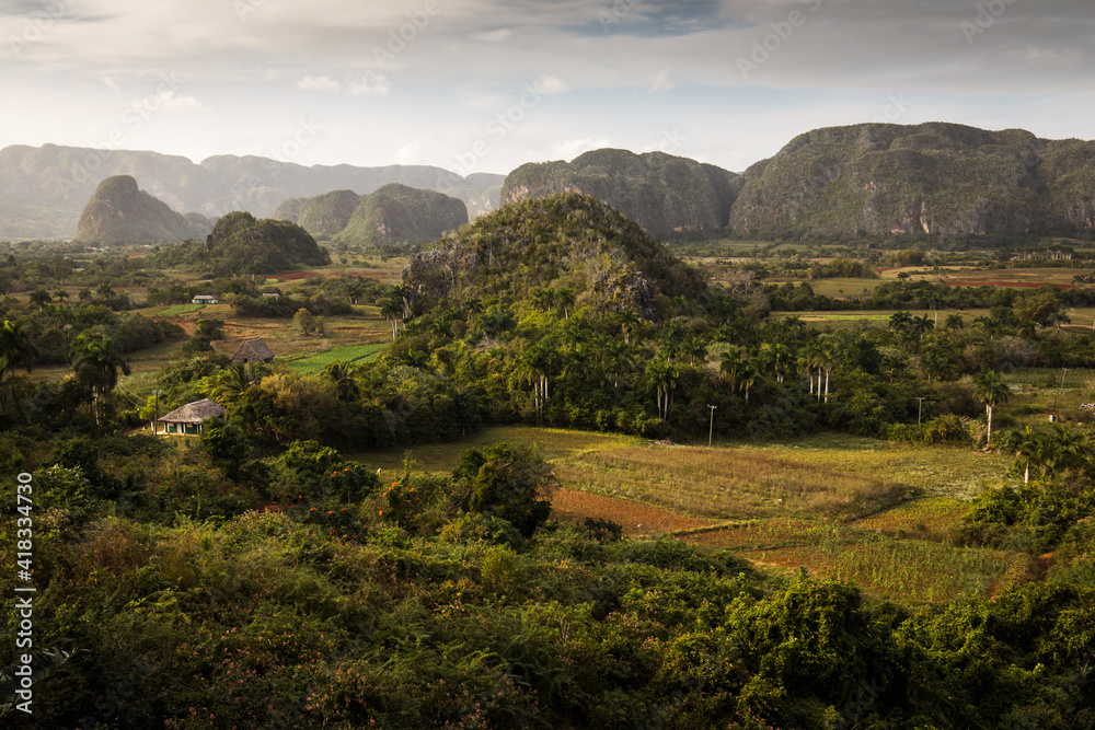 Obraz premium Beautiful Vinales Valley with palm trees and fog. Amazing green landscape of Cuba