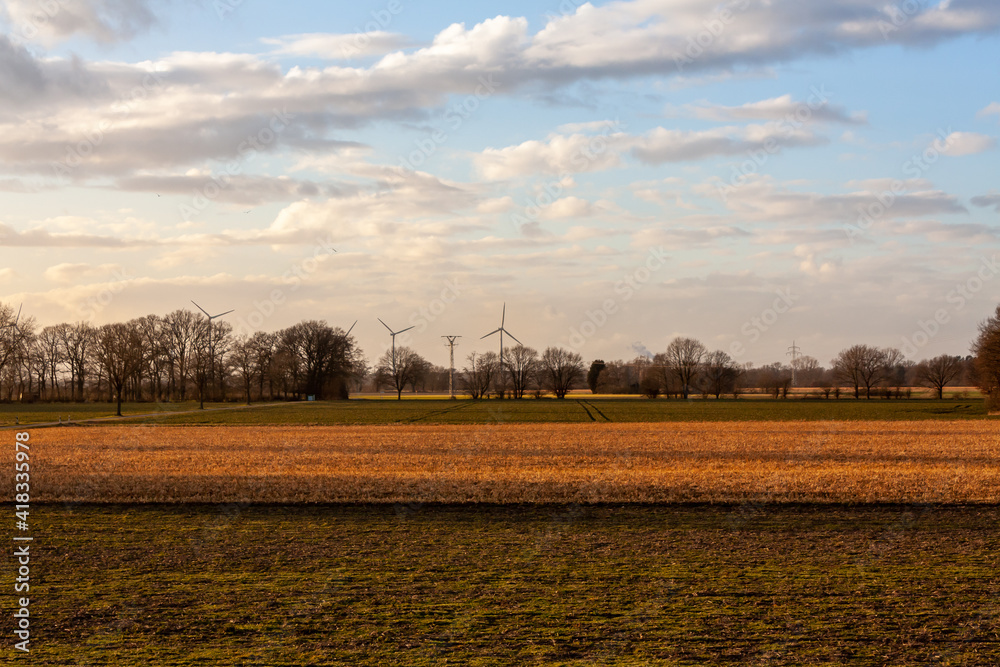 Harvested corn field with wind turbines and trees in the background Harvested corn field with wind turbines and trees in the background