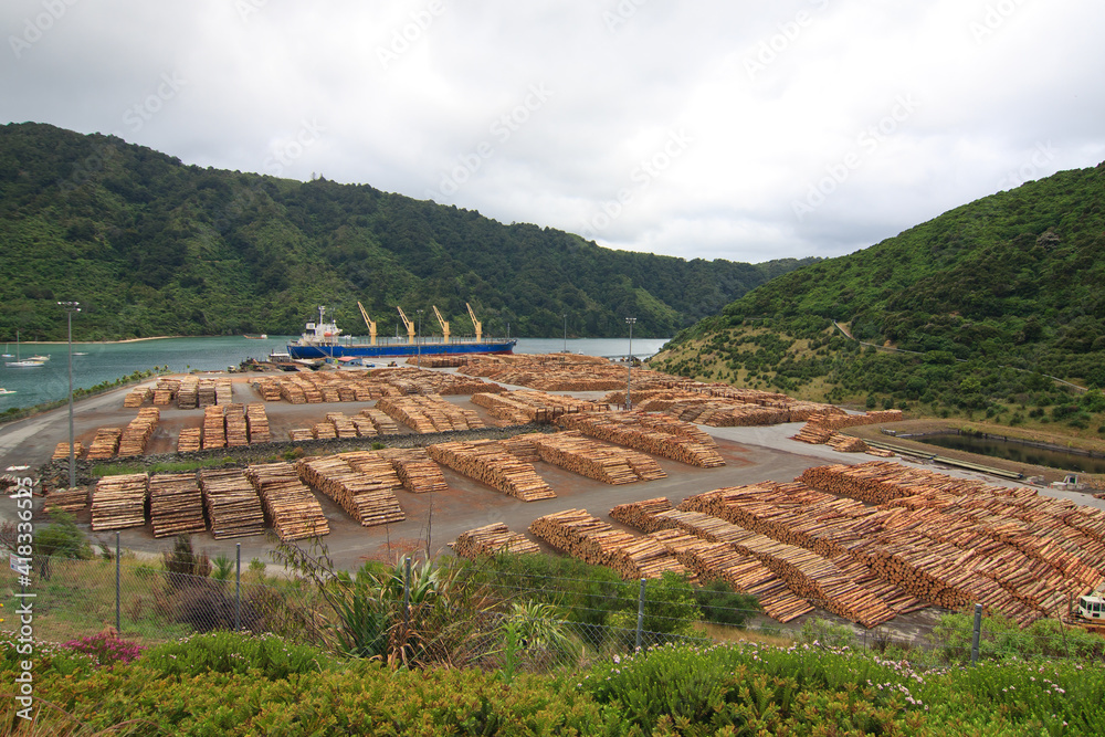 Industrial harbour with cargo ship and tree trunks