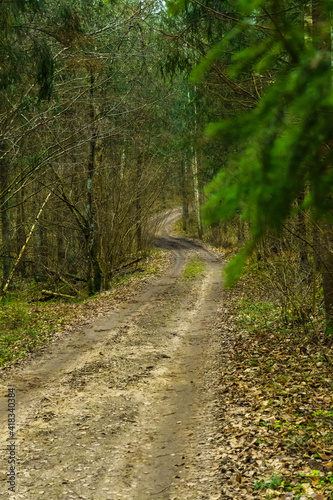 road in the woods © Dairis