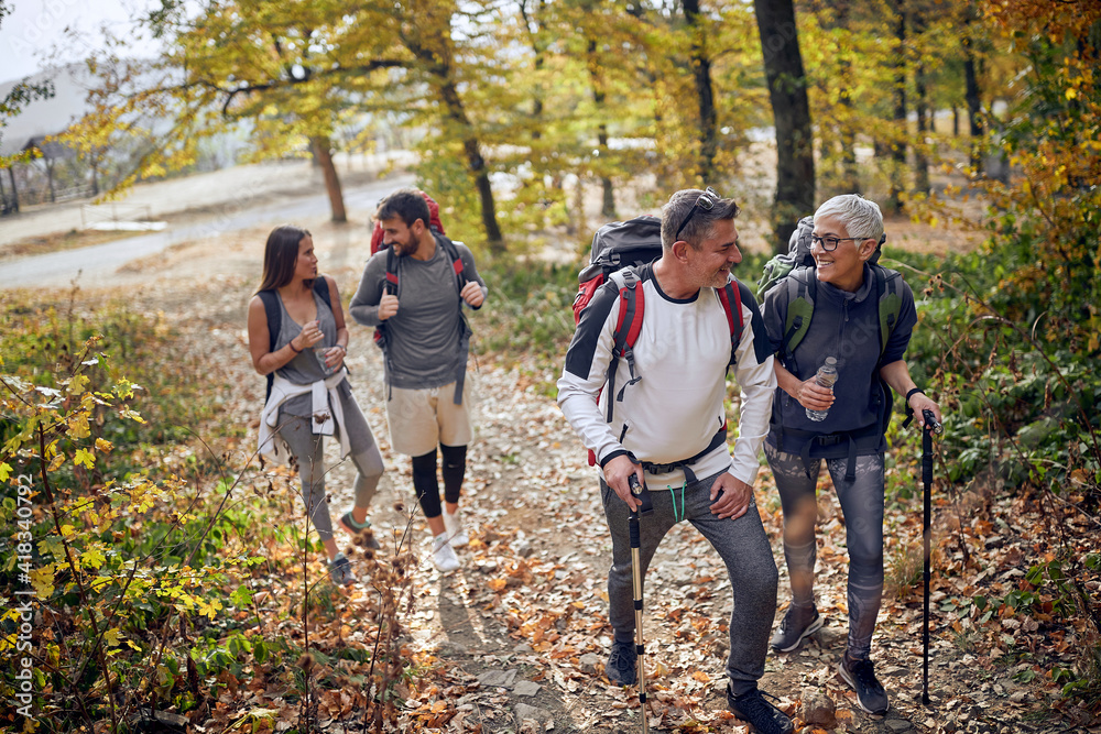 © luckybusiness - Group of hikers walking in forest