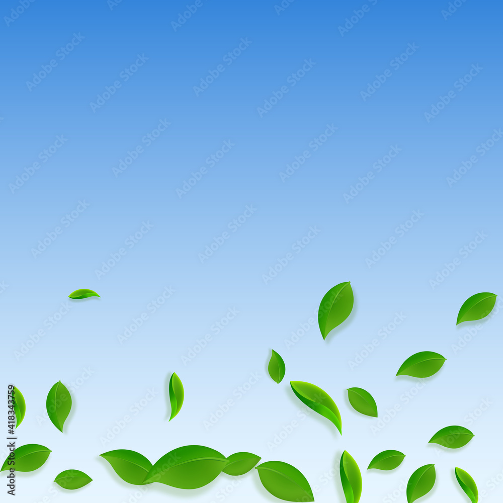 Falling green leaves. Fresh tea chaotic leaves fly Falling green leaves. Fresh tea chaotic leaves fly