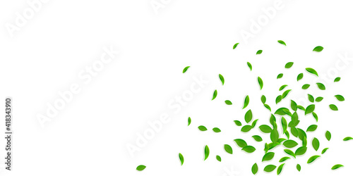 Falling green leaves. Fresh tea chaotic leaves fly