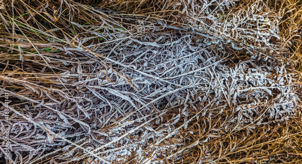 Drizzle on yellow dried grass in winter (Background, banner, Wallpaper, texture) Drizzle on yellow dried grass in winter (Background, banner, Wallpaper, texture)