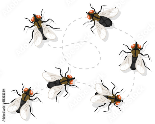 Insect fly moves along a route on a white background. Top view.