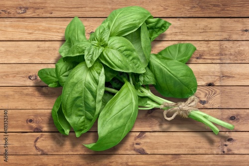 Green basil leaves on wooden background