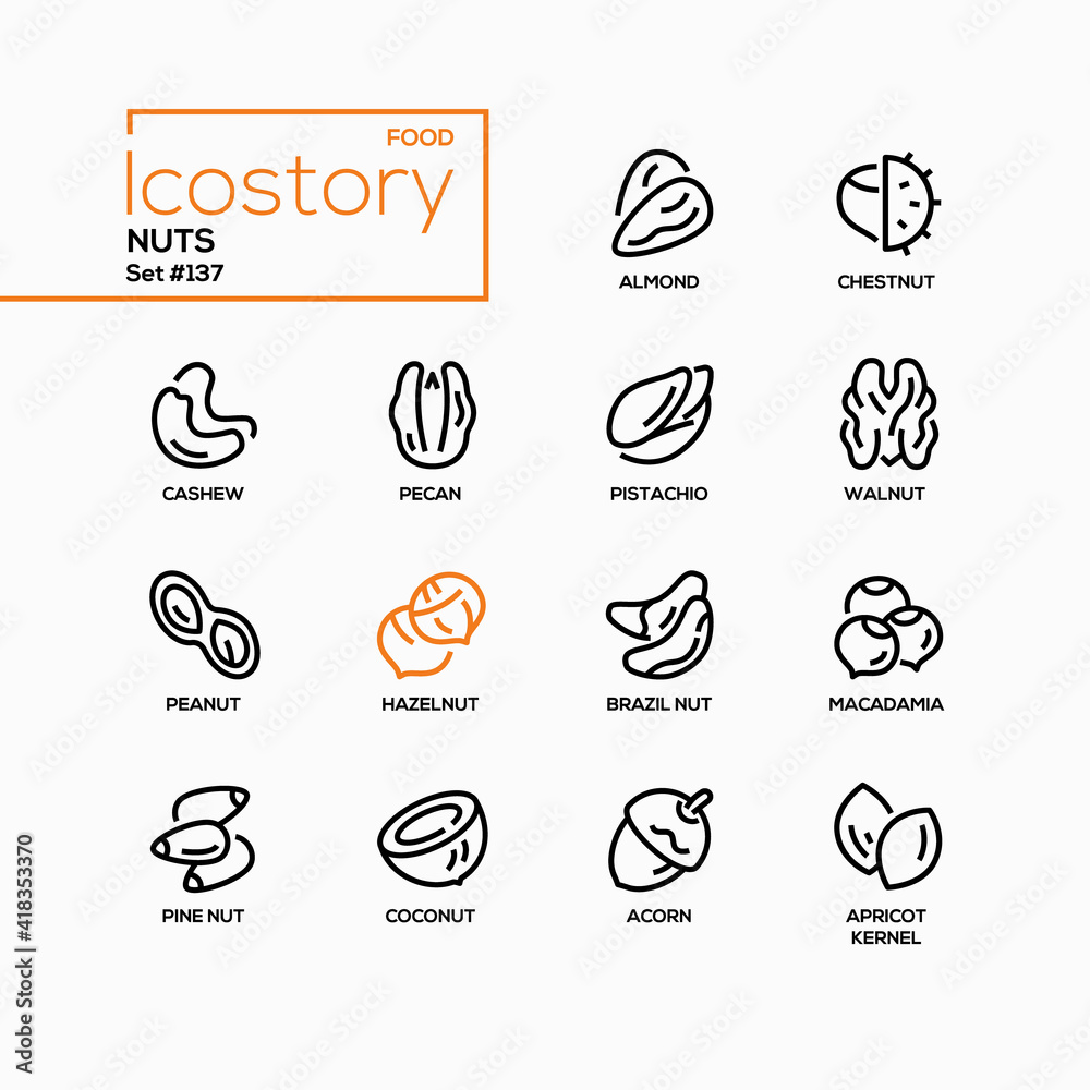 Nuts collection - modern line design style icons set Nuts collection - modern line design style icons set